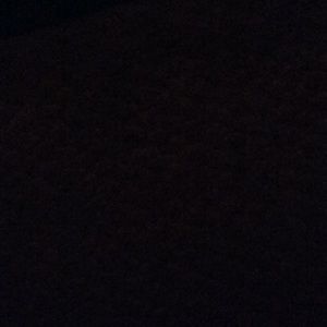 Meet your Posher, Abigail